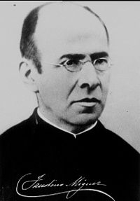logo Beato Faustino Míguez