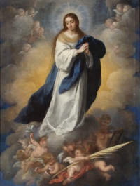 logo Inmaculada Concepción de María
