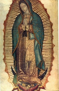 logo Nuestra Seora de Guadalupe