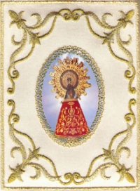 logo Nuestra Seora del Pilar